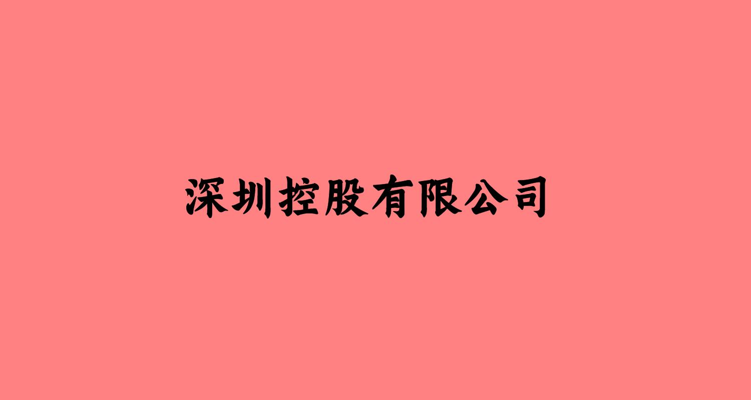 深圳控股有限公司