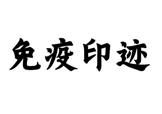免疫印迹