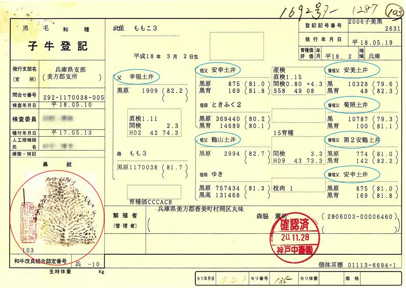 生长履历
