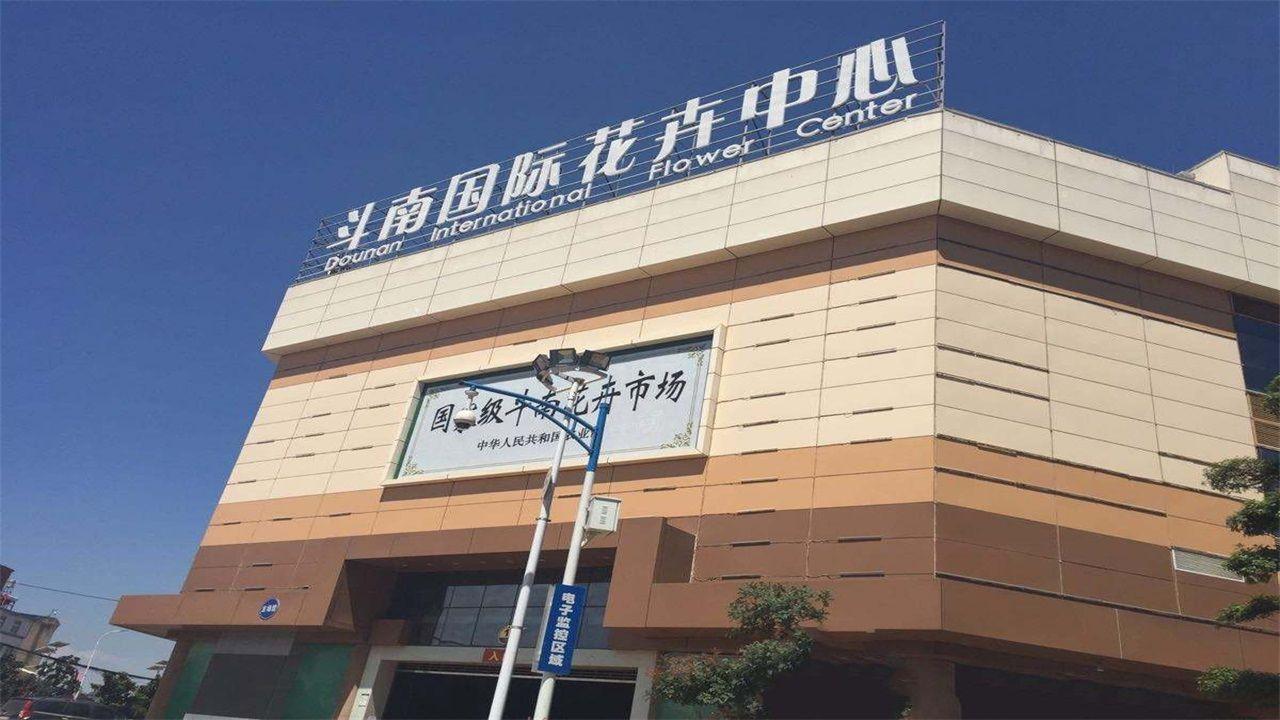 昆明斗南花卉市场