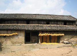麦地村