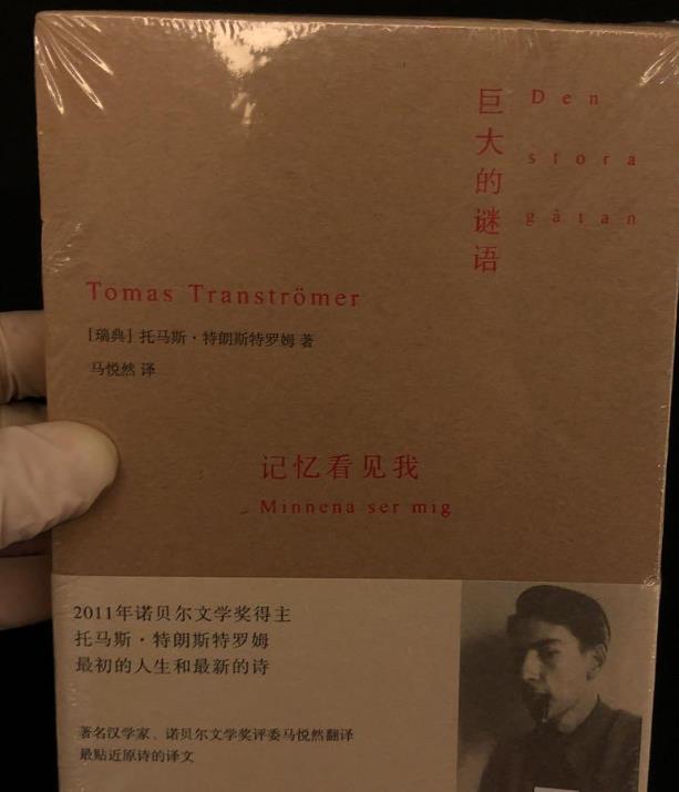 巨大的谜语·记忆看见我