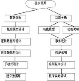 啄食顺序理论