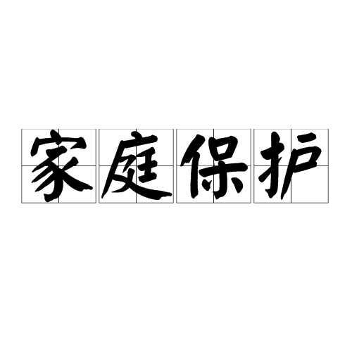 家庭保护
