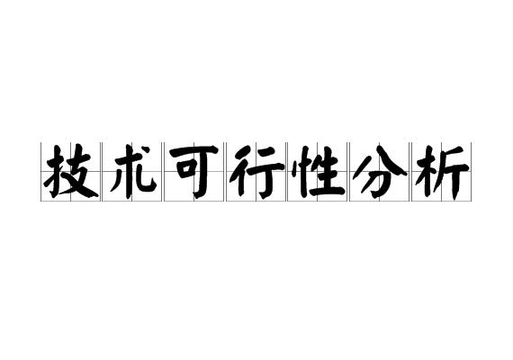 技术可行性分析