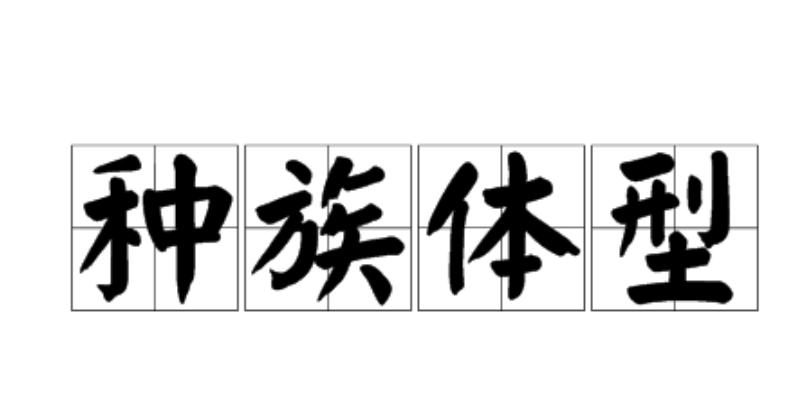 种族体型
