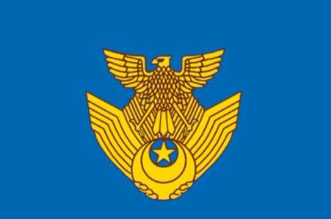 日本航空自卫队