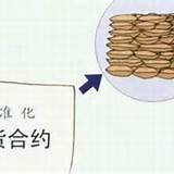 标准化合约
