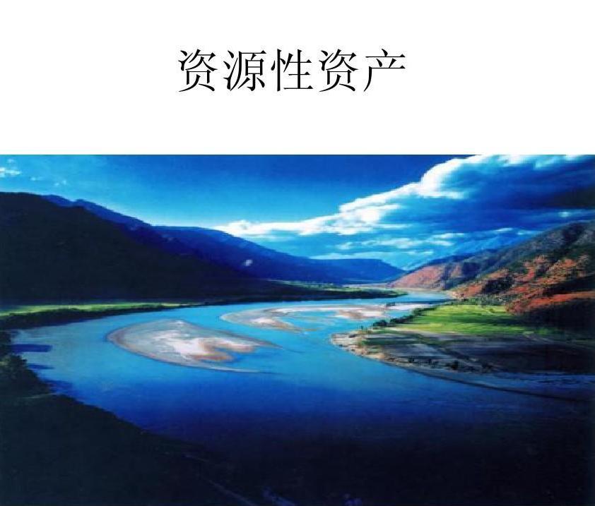 资源性资产