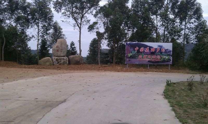 凤巢村