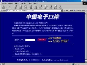 中国电子口岸执法系统