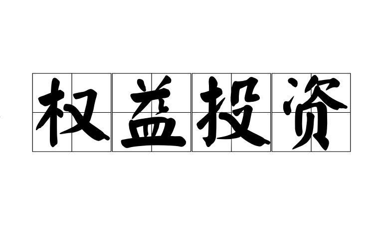 权益投资