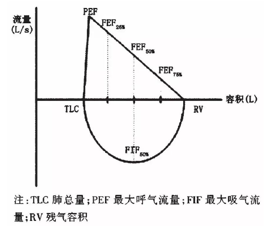 最大通气量