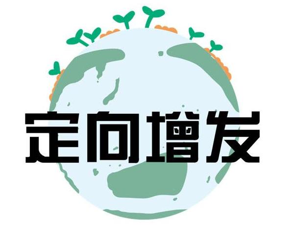 非公开发行股票