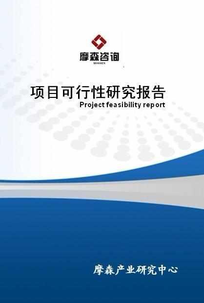 项目可行性报告