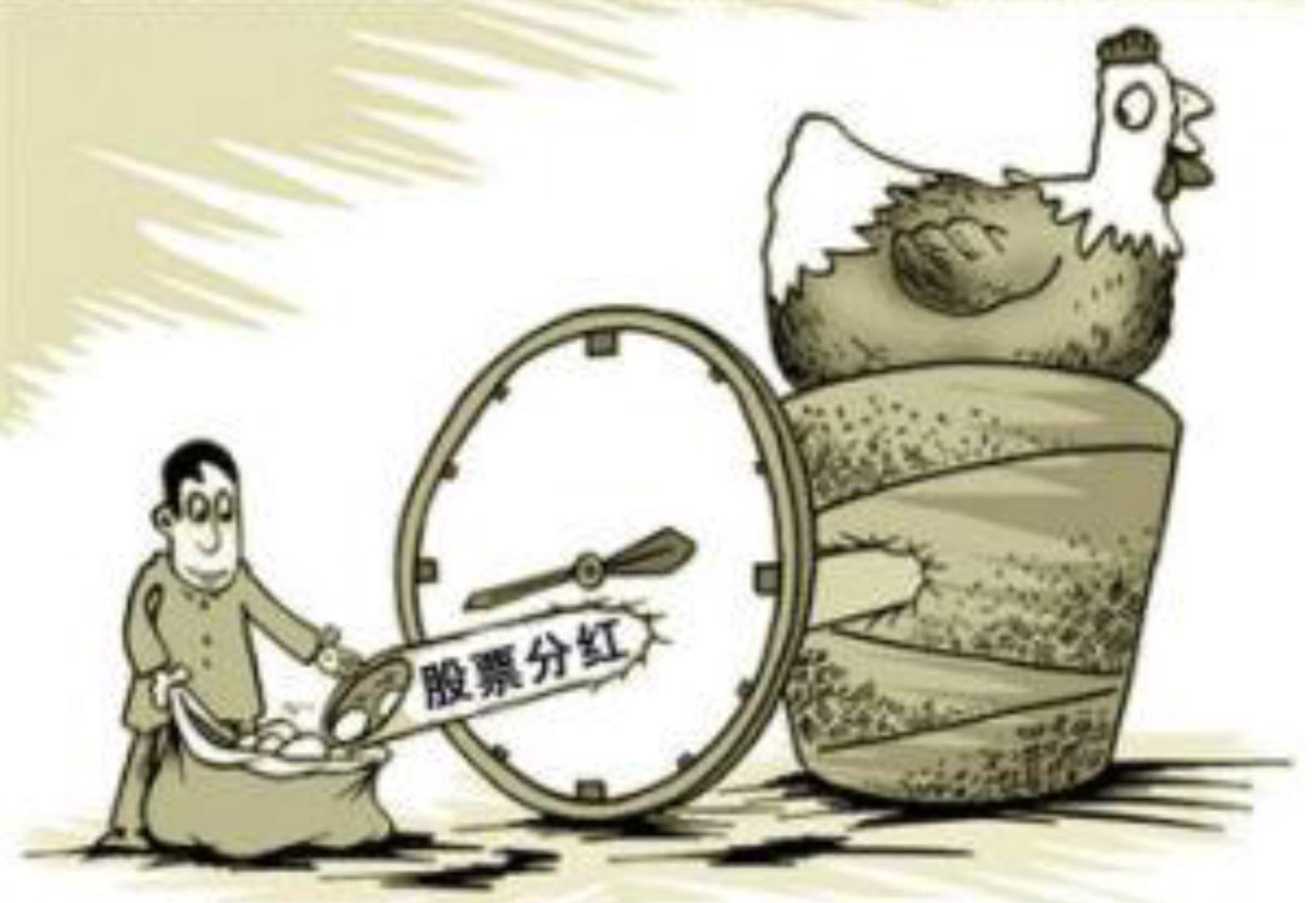 股票分红