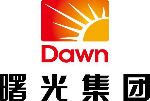 曙光控股集团有限公司
