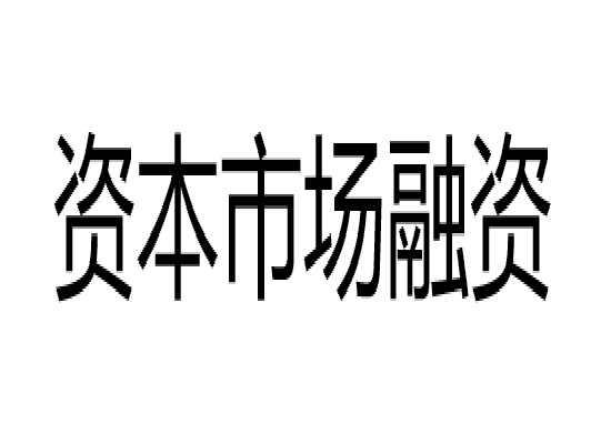资本市场融资