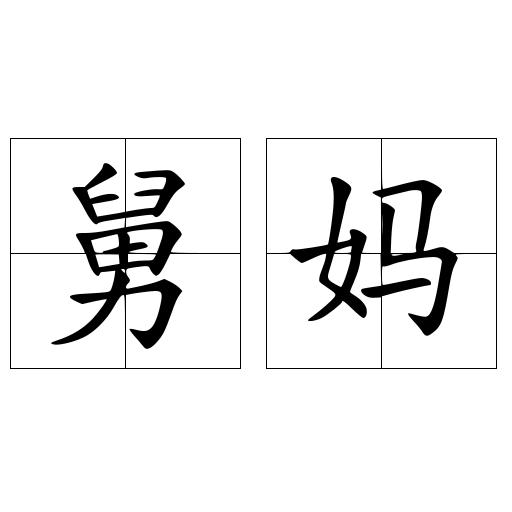 舅妈
