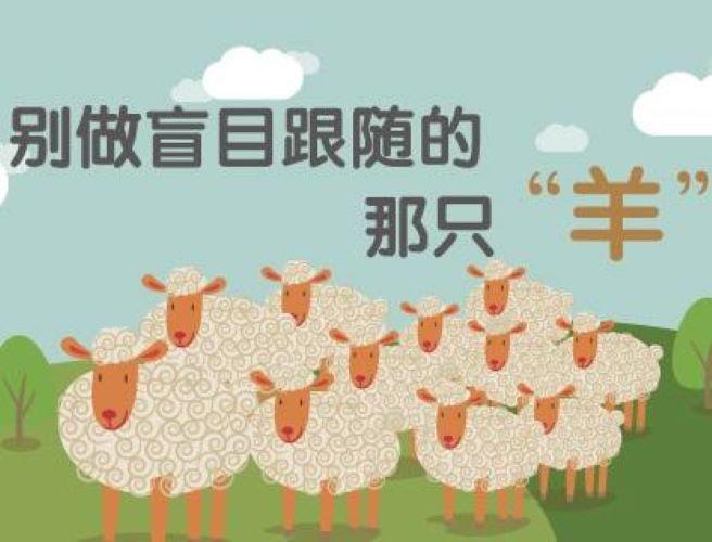 羊群效应