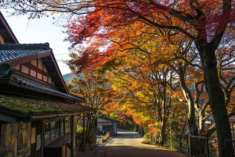东山