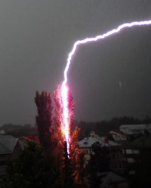 雷击死