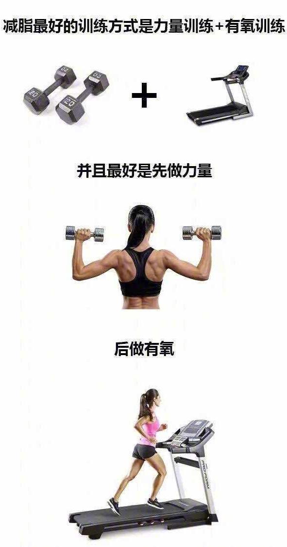 减脂