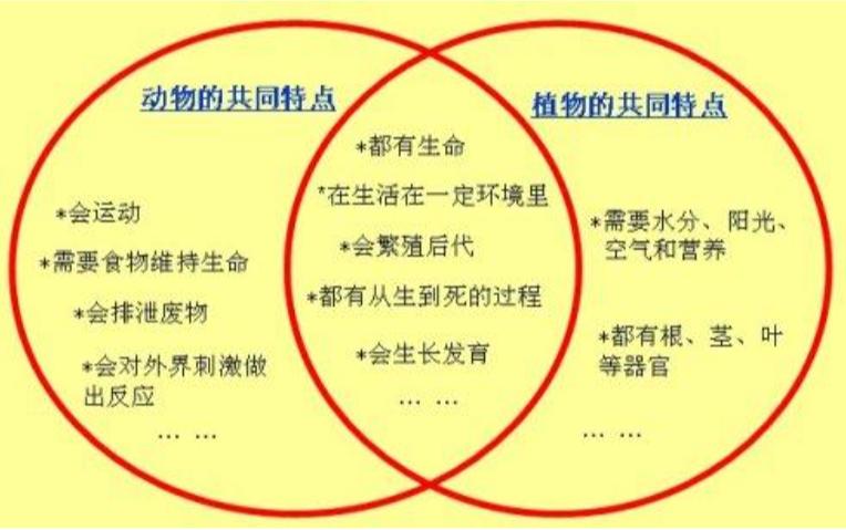 生命特征