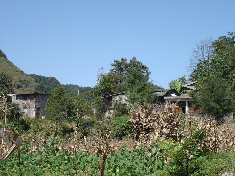 伍家湾自然村