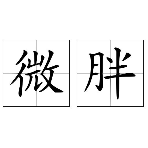微胖