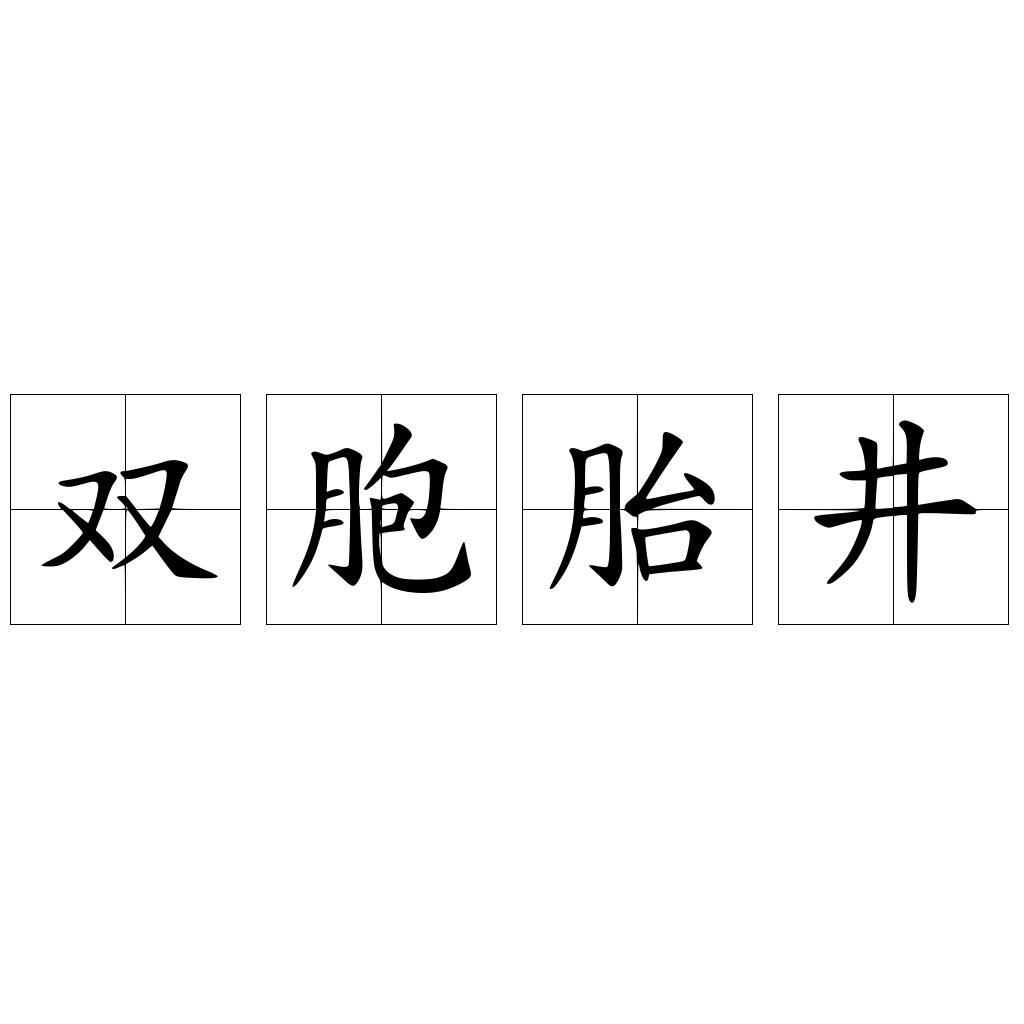 双胞胎井