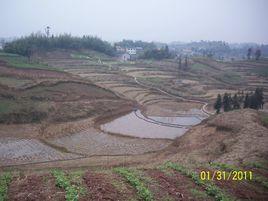 建福村