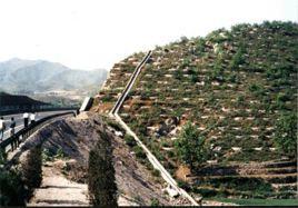 太行山绿化工程