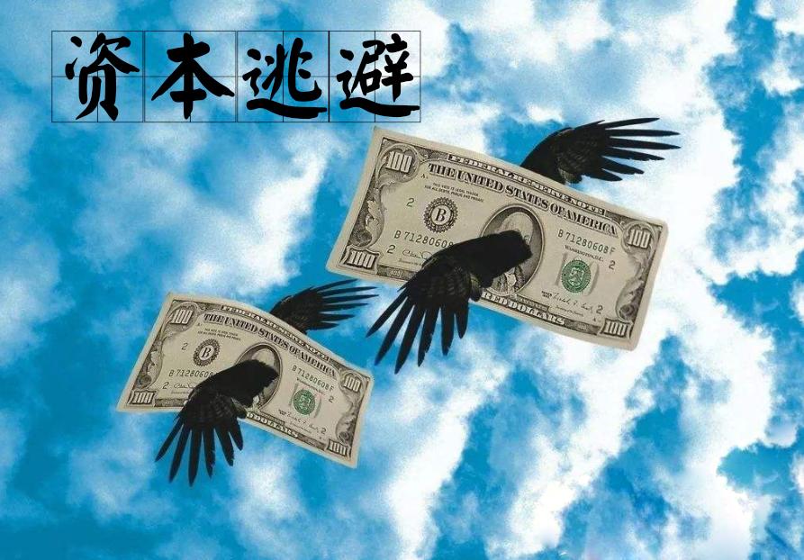资本逃避