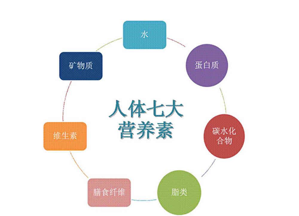 人体必需的营养素