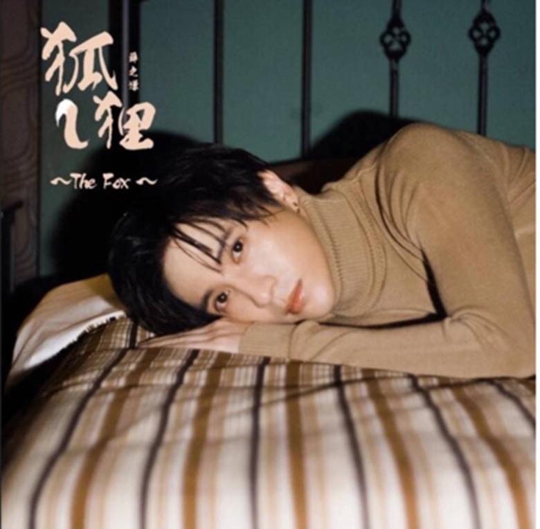 狐狸