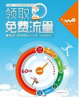 网龄升级计划
