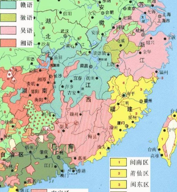 洪巢片