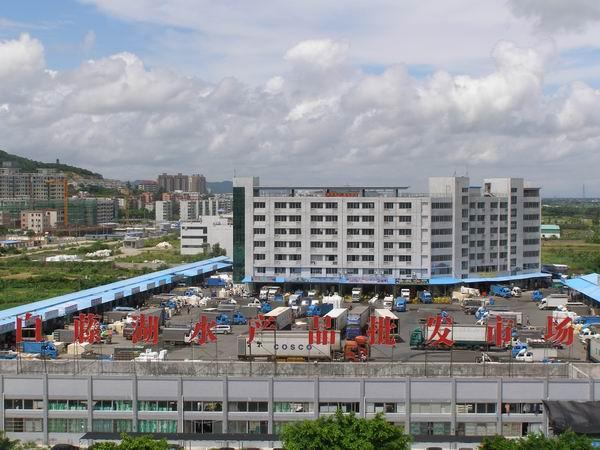 珠海白藤湖水产品批发市场