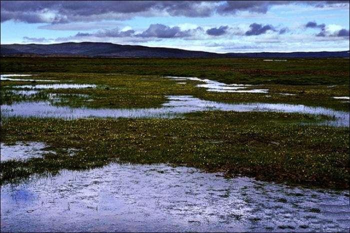 麦地卡湿地