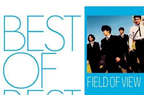 FIELD OF VIEW