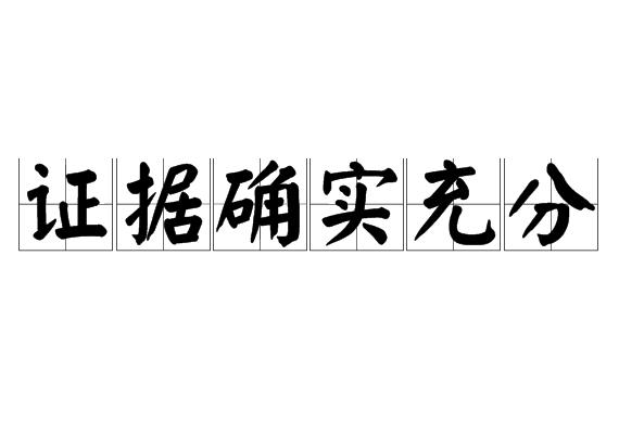 证据确实充分