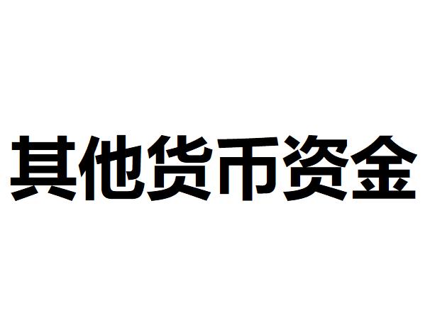 其他货币资金