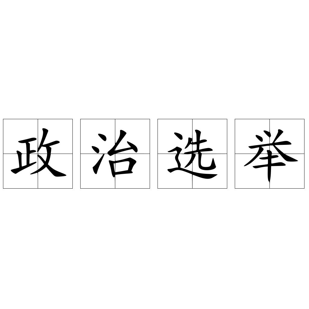 政治选举