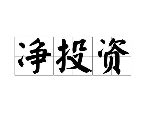 净投资
