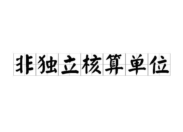 非独立核算单位