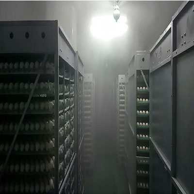种蛋消毒