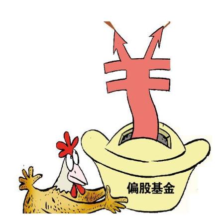 偏股型基金