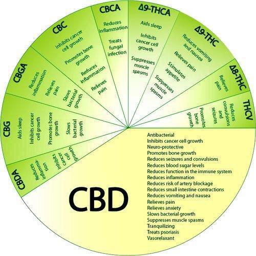 大麻二酚