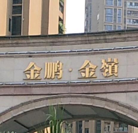 金鹏金岭